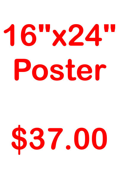 16" x 24" Posters