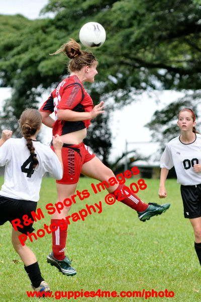 SCG_090110_1260_HS