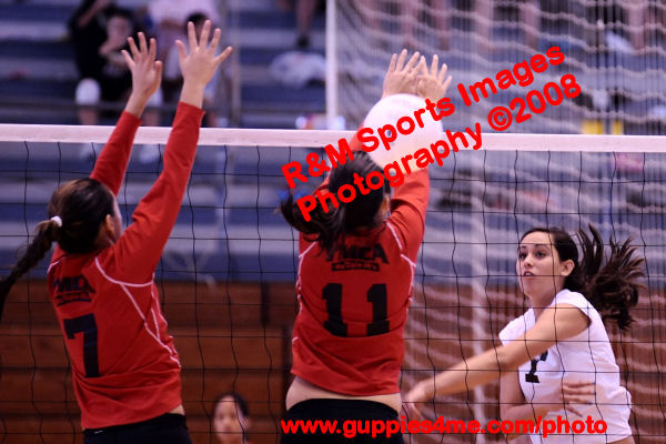 VB_090324_0272_Day2