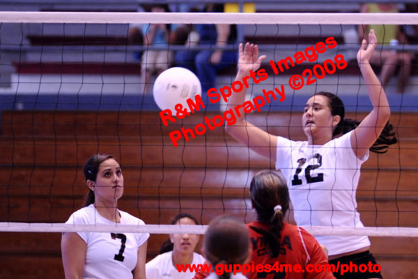 VB_090324_0280_Day2