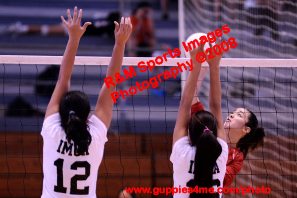 VB_090324_0352_Day2
