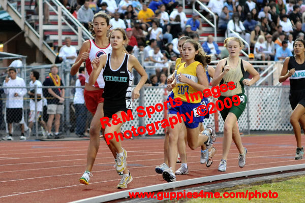 TF_090516_3389_HHSAA_D2