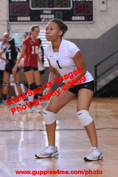 VBG_090821_0367_Hilo