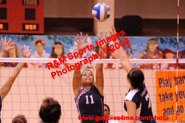 VBW_091014_0299_NDNU